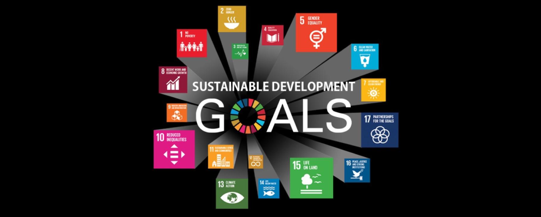 Sustainable Development Goals in Ukraine: Subnational Level